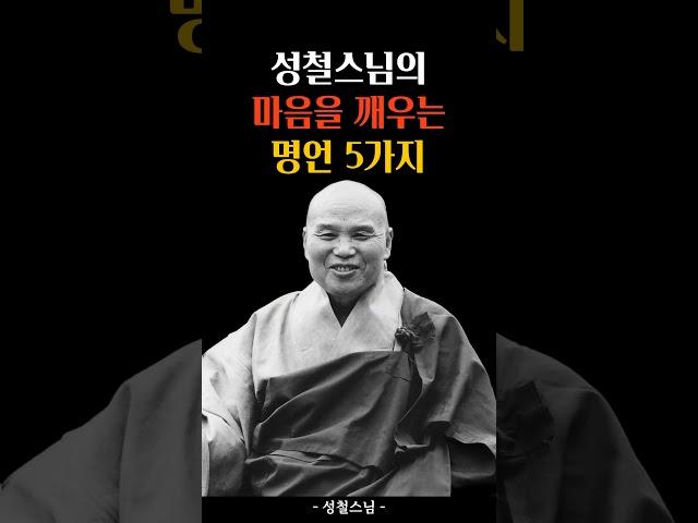 마음을 깨우는 명언 5가지 #성철스님 #명언 #인생조언 #삶의지혜