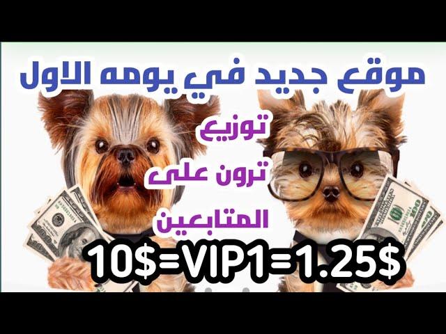 اشتري خطة VIP1 ب 10 دولار وإسحب كل يوم 1.25 دولار | شرح موقع MGM-PET  #TRX #USDT