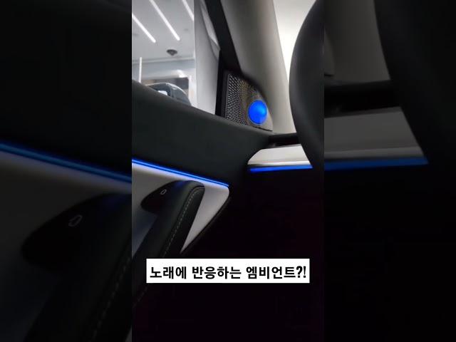 핑크베놈 따라 춤추는 엠비언트 ㄷㄷ #shorts #tesla #blackpink #자동차 #테슬라