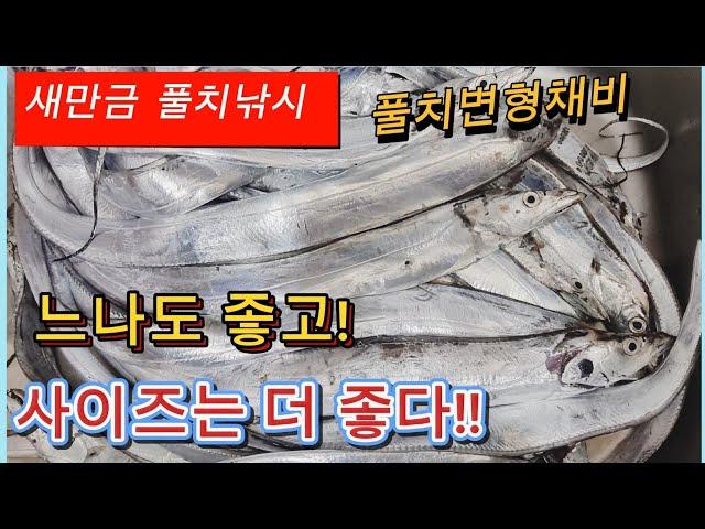 새만금 풀치낚시/ 새만금에 시장급 갈치도 나온다!/ 9월15일