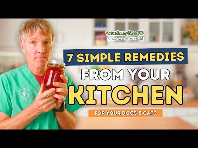 7 Kitchen Remedies to Help Your Dog and Cats