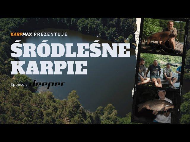 Śródleśne karpie - z dala od cywilizacji nad Gravity Lake