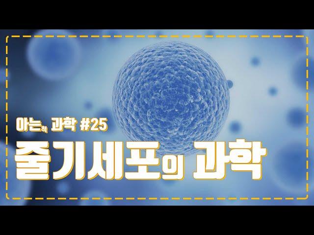 줄기세포(Stem Cell)로 어떻게 난치질환을 치료할 수 있울까? 미래의학기술로 꼽히는 줄기세포에 대해 아는 척 해보자!