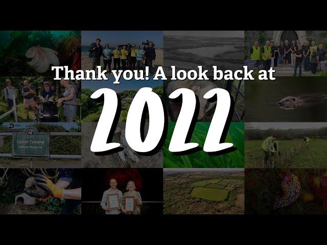 Thank you! Our year in review and how you backed nature in 2022 | Cornwall Wildlife Trust