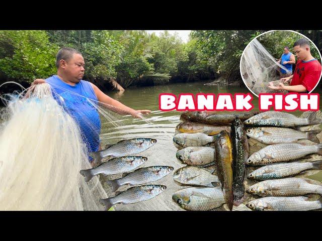 CATCHING BANAK FISH | PAGLALAMBAT NG ISDA SA ILOG