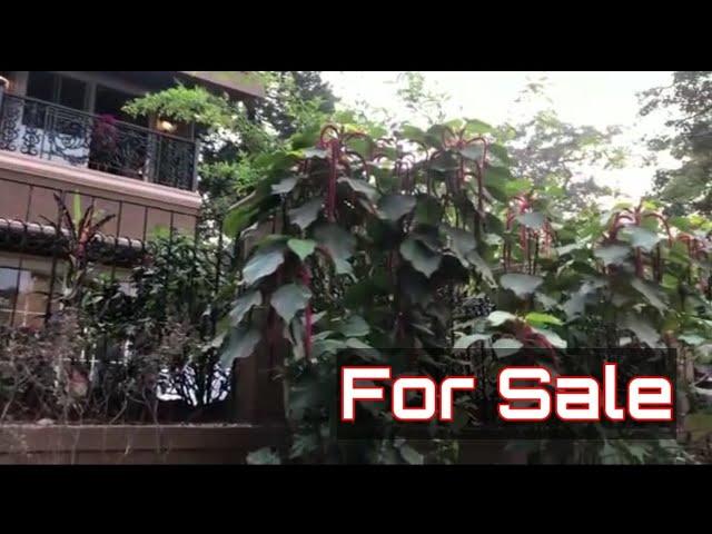 Luxury Banglow in Tungarli  Lonavala | My Fortune Property