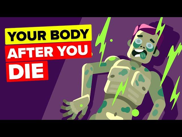 What Happens to Your Body After You Die?