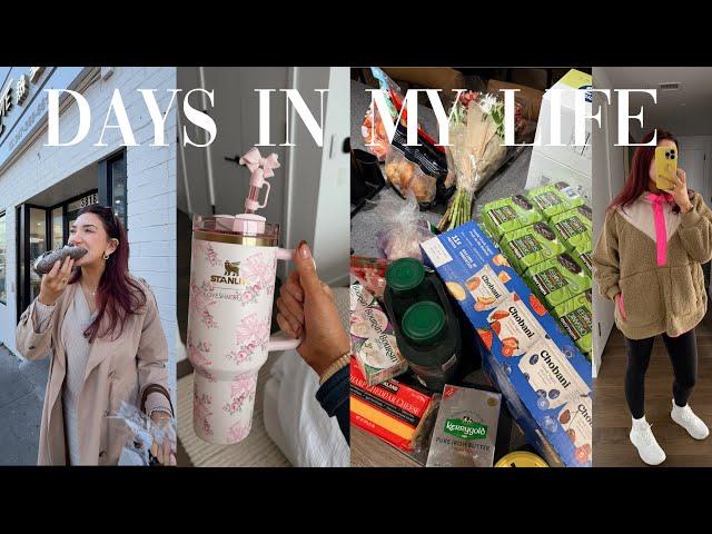 VLOG: weekend in my life in NYC! Costco haul, exploring flushing! stanley x loveshack pop up + more