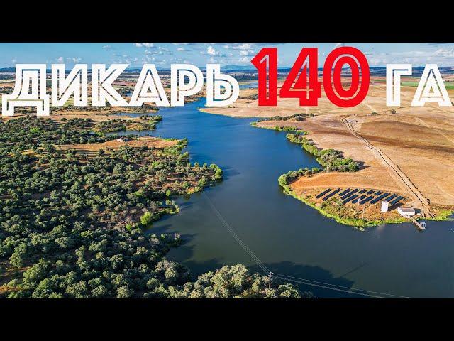 Карпфішинг на дикарі | Ловля карпа на дикаре | Карпфишинг дикарь