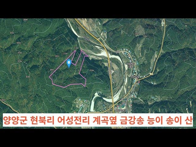 양양 어성전리 남대천옆 임야 리더스공인중개사033-642-2830