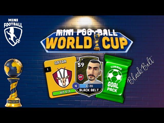 Mini Football - World Cup Tournament FINAL for Qatar Kit! Black Belt in a Goal Pack!