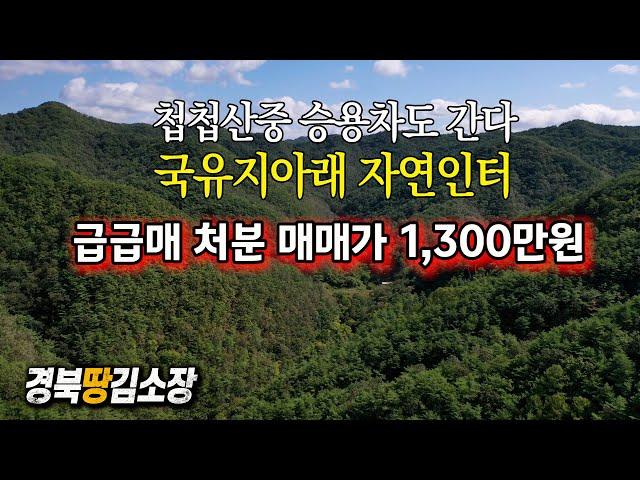 경북땅김소장[매번806번] #자연인땅# 급매매1,300만원