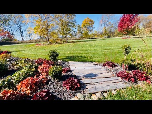 October Garden Tour, Fall Colors In My Mid Michigan Zone 4/5 Garden. A Walk Around the Landscape!