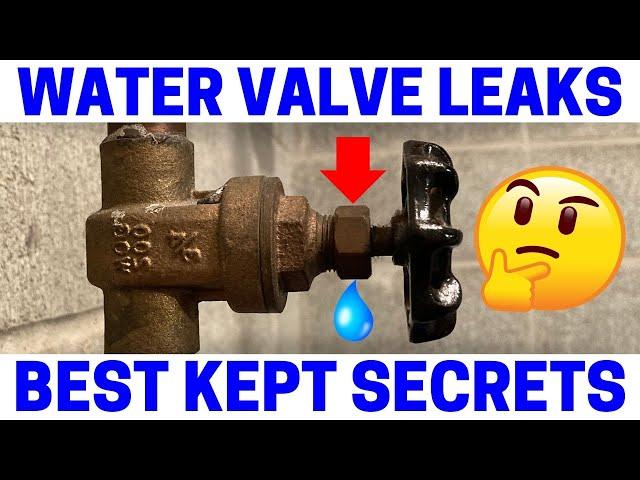 Leaky Water Valve - Easy Fix!