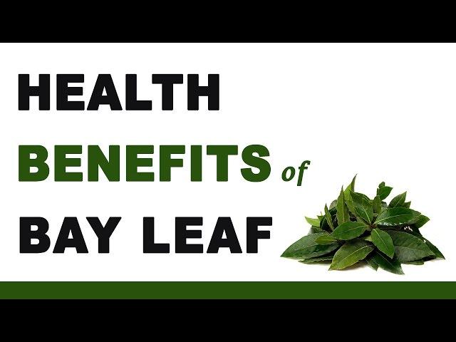 Health Benefits of Bay Leaves