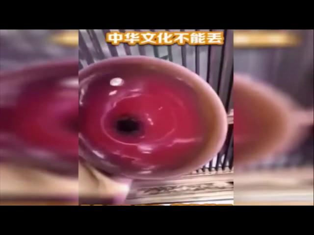 China traditional culture 中华传统文化