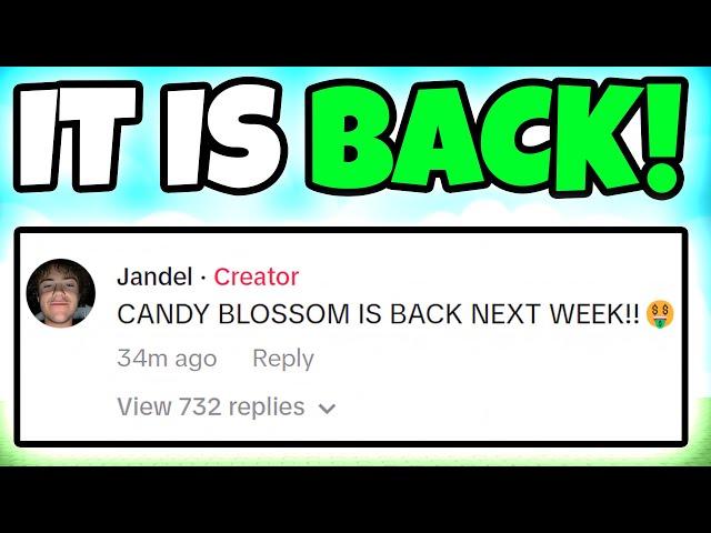 CANDY BLOSSOM IS OFFICIALLY BACK IN GROW A GARDEN!