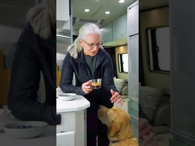Why Floor Plans Matter in RVs! #automobile #vanlifevoyages #vanlife
