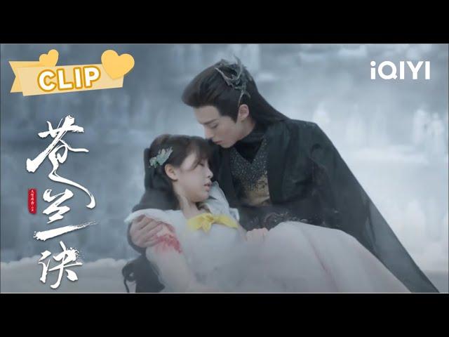 小兰花受伤东方青苍霸气护妻！“本座的人谁敢动？！” | 苍兰诀 Love Between Fairy and Devil | 虞书欣 王鹤棣｜︎ 爱奇艺心动剧场 ︎