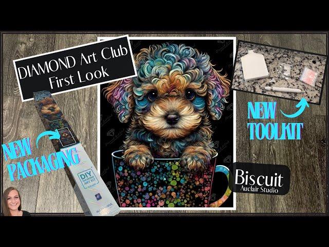 Diamond Art Club New Packaging New Tool Kit! Biscuit by Auclair Studios