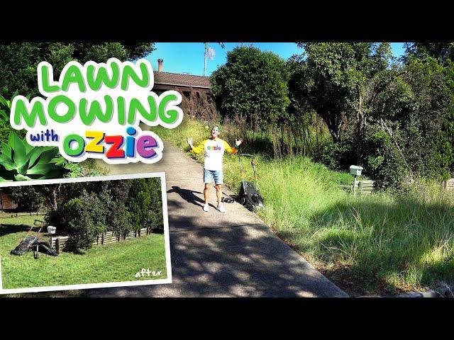 Ozzie Mows an Overgrown Yard with Help from his Fox Lawn Mowing Mates | Kids Video