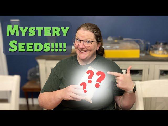 Is it Worth It? Unboxing Mary's Heirloom Seed Grab Bag