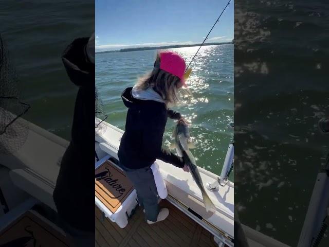 Chomp chomp as these fish are chewing. #tacklepusher #fishing #fishingcharters