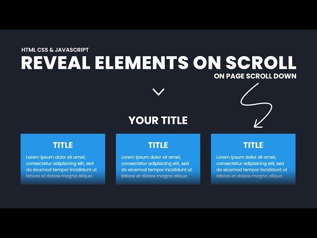 Reveal Website Elements On Scroll | On Page Scroll Down - Using HTML, CSS & Javascript