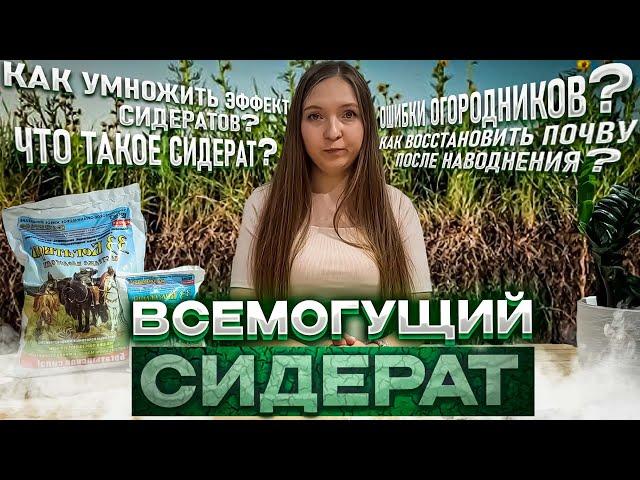 Секреты сидератов: удвойте эффективность с нашими советами! Горчица. Овес. Фацелия. Рожь. Редька