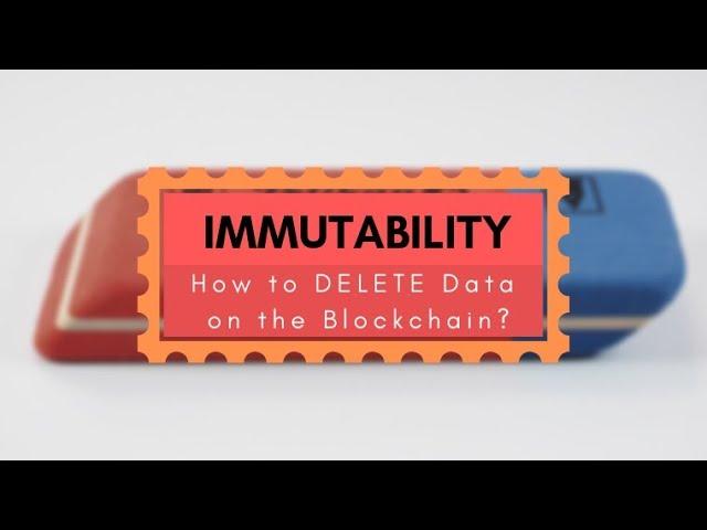 S26 - How to DELETE Information from Blockchains (delete Blocks, Smart Contracts, Transactions,...)