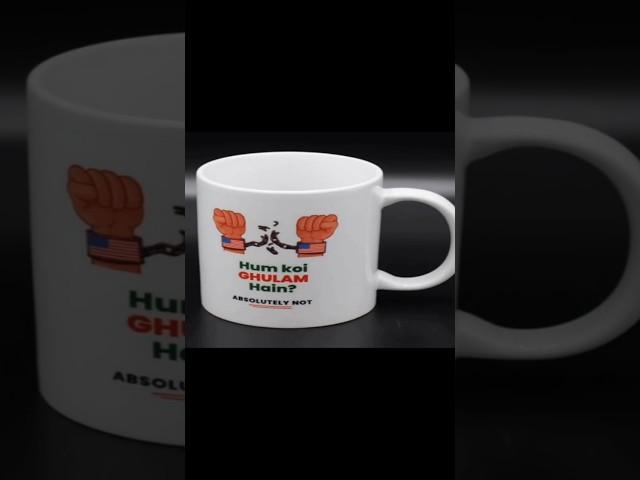 Absolutely Not #absolutlynot #qaidi804 #humkoighulamhain ##901 #election2024 #latestnews #shorts