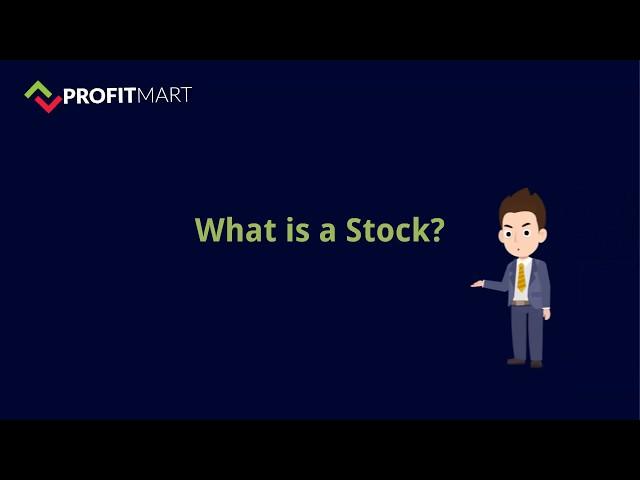 what is stock