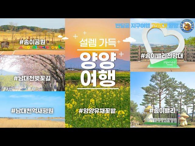 [양양 EP.05] 고맙다! 양양! / 죽도해변 일출 / 송이밸리 자연휴양림 / 송이밸리 전망대 / 남대천 벚꽃길 / 송이조각공원 / 양양유채꽃밭/ 양양벚꽃 / 벚꽃명소