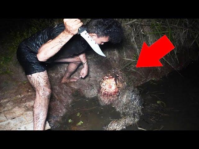 This Man's Camera Caught Some Creature Crawling out of the Swamp