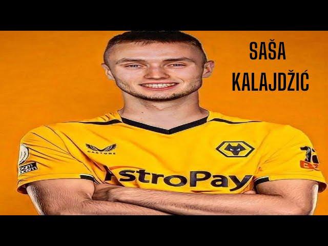 Sasa Kalajdzic 🟠 Welcome to Wolves 🟠 Best Goals & Skills HD