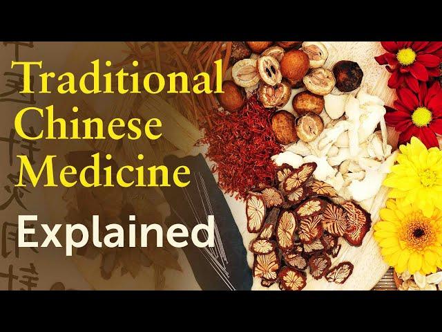 Five Pillars of Traditional Chinese Medicine Explained for Westerners