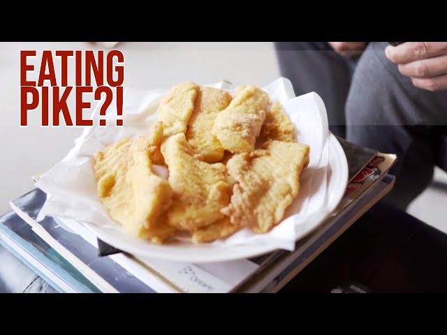 Are Pike Good To Eat?  Northern Pike Catch And Cook