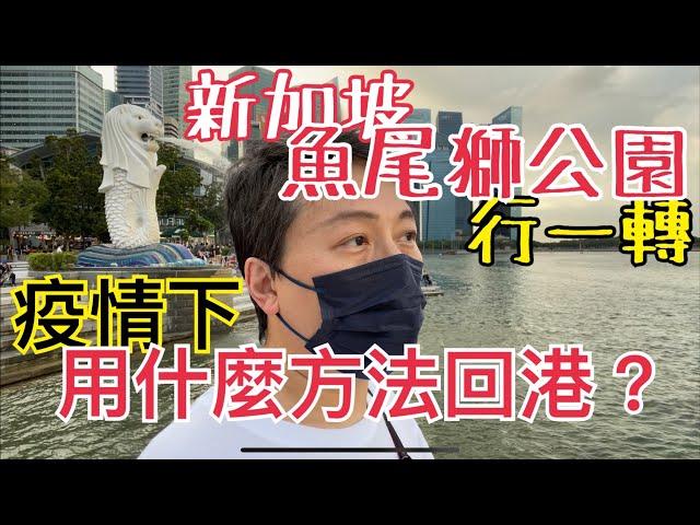 史高飛TV - 疫情下 用什麼方法回香港？行一轉魚尾獅公園 中文字幕