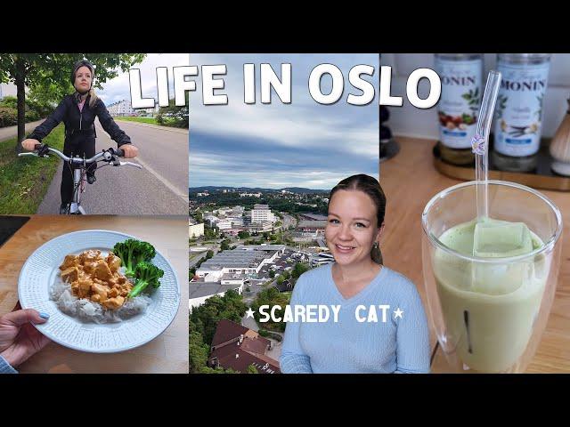 Facing My Fears: A Day In The Life Working 9-5 From Home In Oslo | Grocery Store, Cooking Dinner