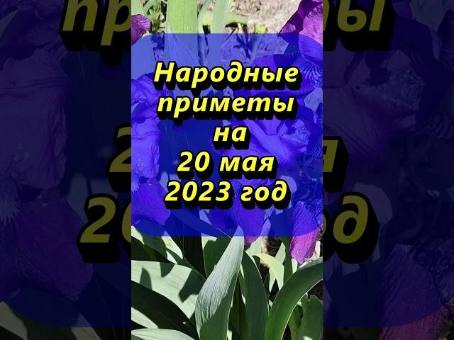 Народные приметы на 20 мая 2023 года