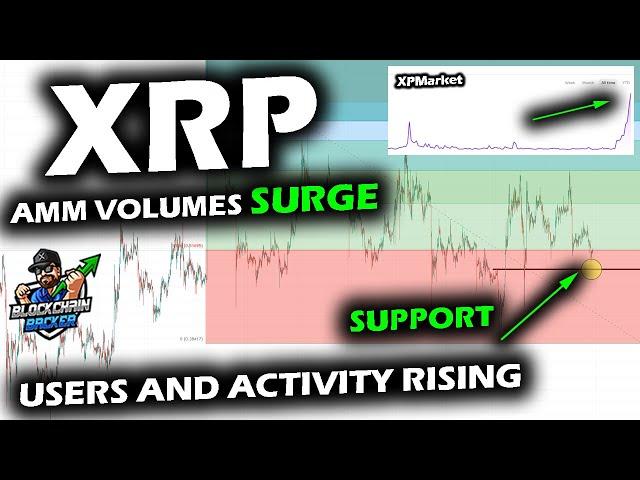 XRP Price Chart Bounces on Support as USER ACTIVITY EXPLODES with AMM VOLUME, Awaits Bitcoin Lead