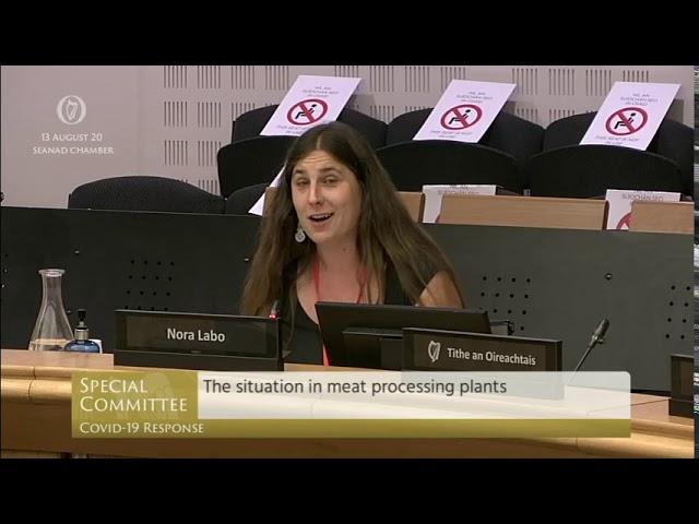 Deputy Jennifer Carroll MacNeill – speech from 13 Aug 2020