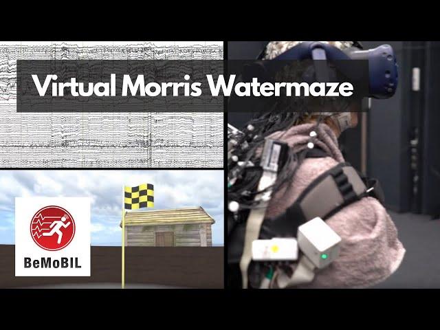 Virtual Morris Watermaze: Mobile Brain-Body Imaging in Clinical Population