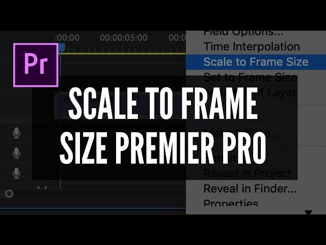 SCALE TO FRAME SIZE IN PREMIER PRO - THE MOST IMPORTANT SKILL TO REMEMBER