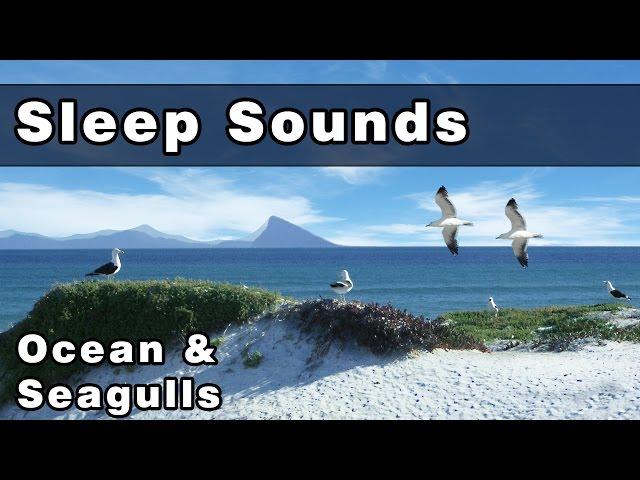 Soothing OCEAN WAVES & SEAGULLS Sleep Sounds: Sea Gull Sounds, Sounds of The Ocean, 12 Hours