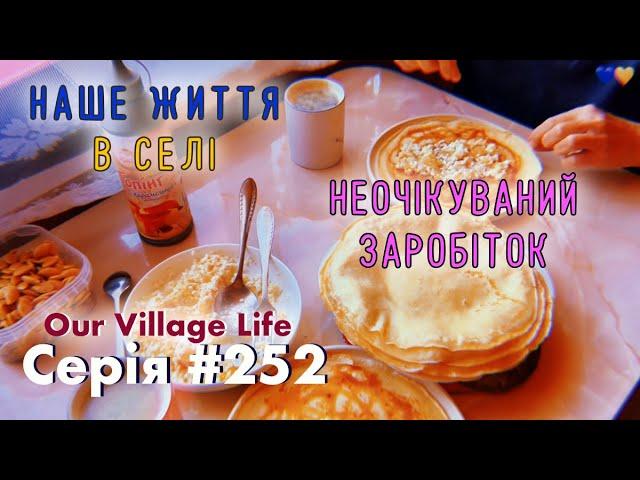 Неочікуваний заробіток | Серія #252 | Наше життя в селі