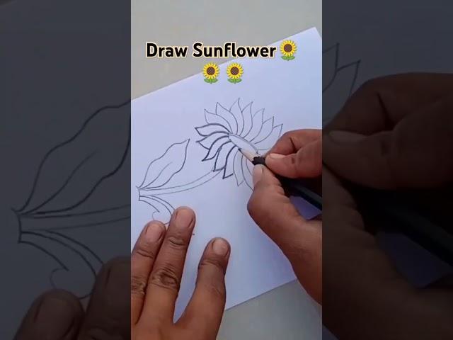 How to Draw a Realistic Sunflower