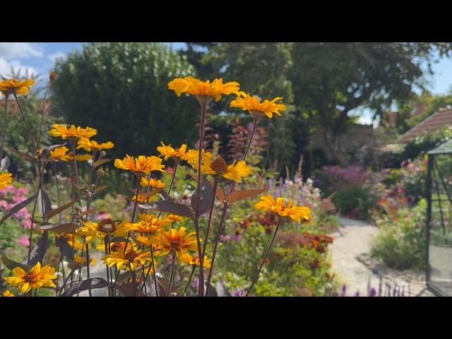 Late July Cottage Garden Tour: Stunning Perennials in Bloom | Perennial Garden