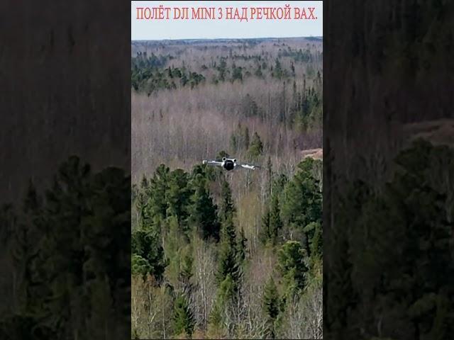 Полёт DJI MINI 3 над речкой Вах.