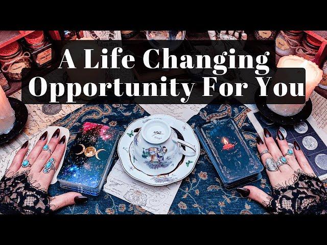 A Life Changing Opportunity Is Opening Up For You. Pay Attention To These Signs.